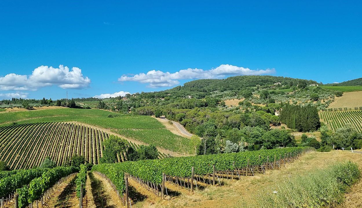 Photo of Others in Gaiole in Chianti