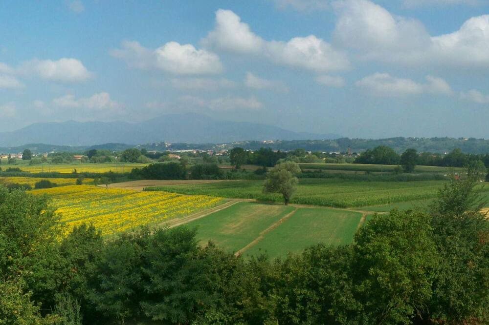 Photo of Others in Montopoli in Val d'Arno