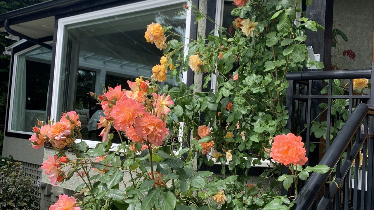 Photo of Outdoor in Upper Lonsdale