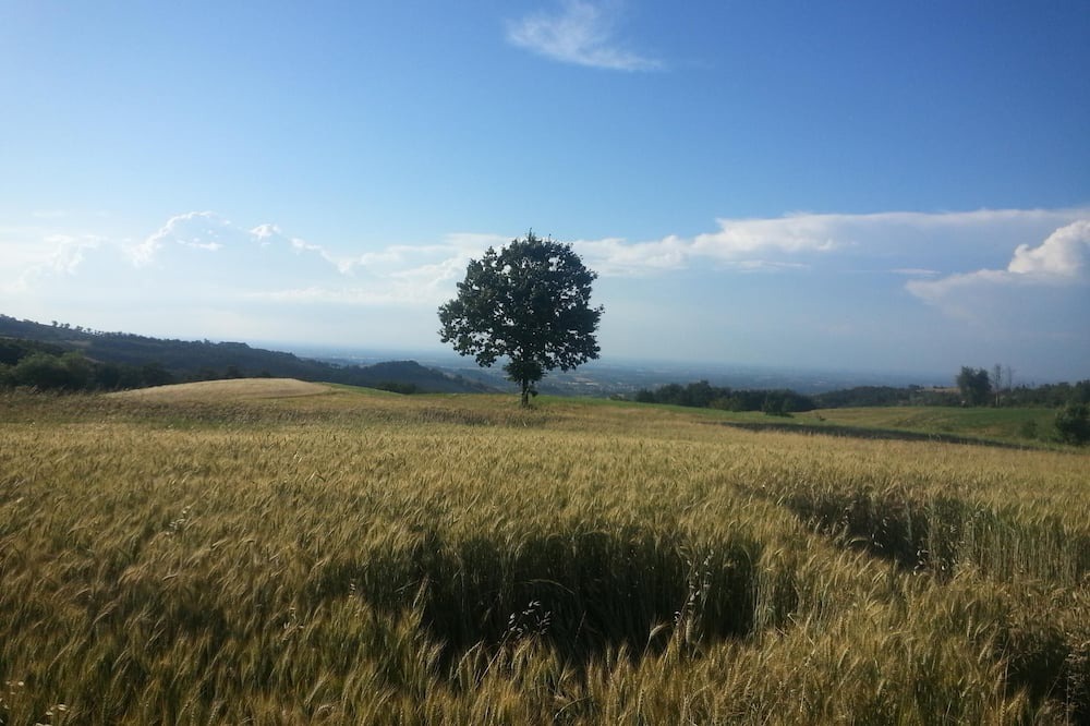 Photo of Outdoor in Viano