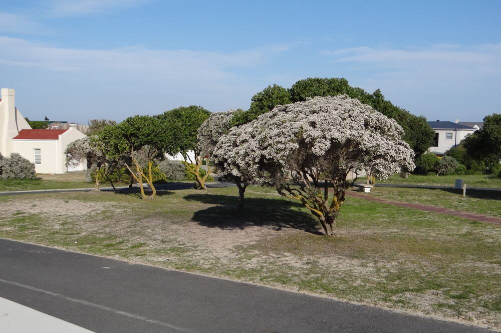 Photo of Outdoor in Hermanus