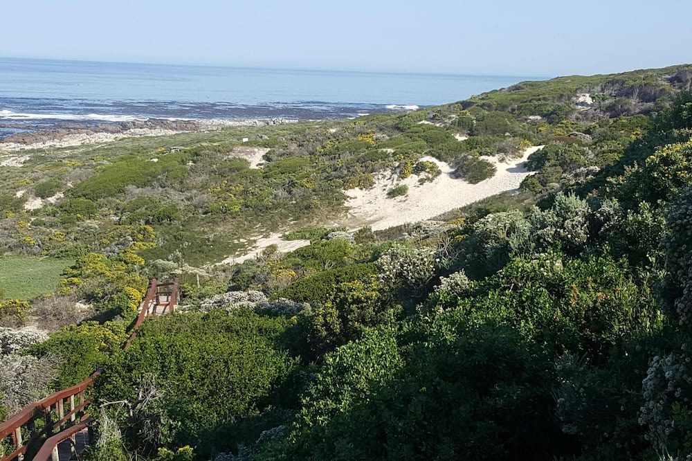 Photo of Others in Hermanus