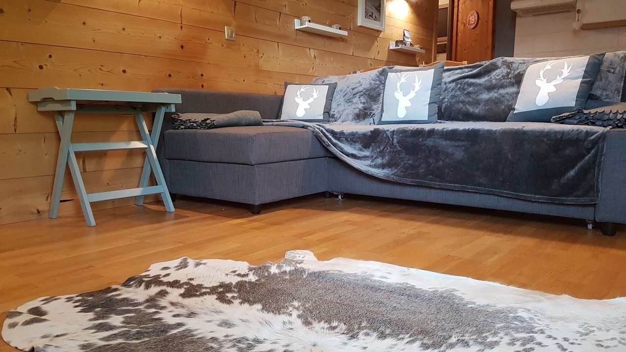 Photo of Livingroom in Flumet
