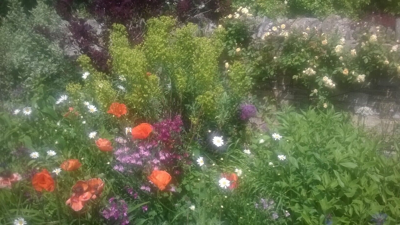 Photo of Outdoor in Ardens Grafton
