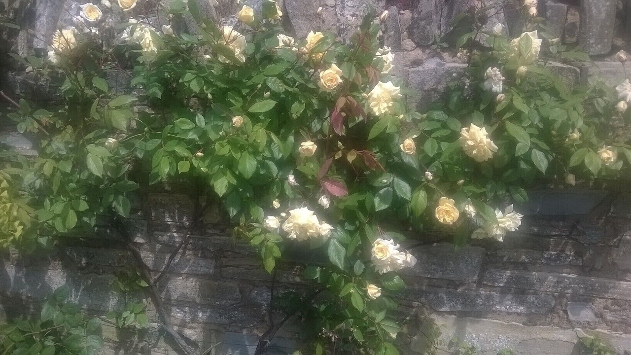 Photo of Outdoor in Ardens Grafton