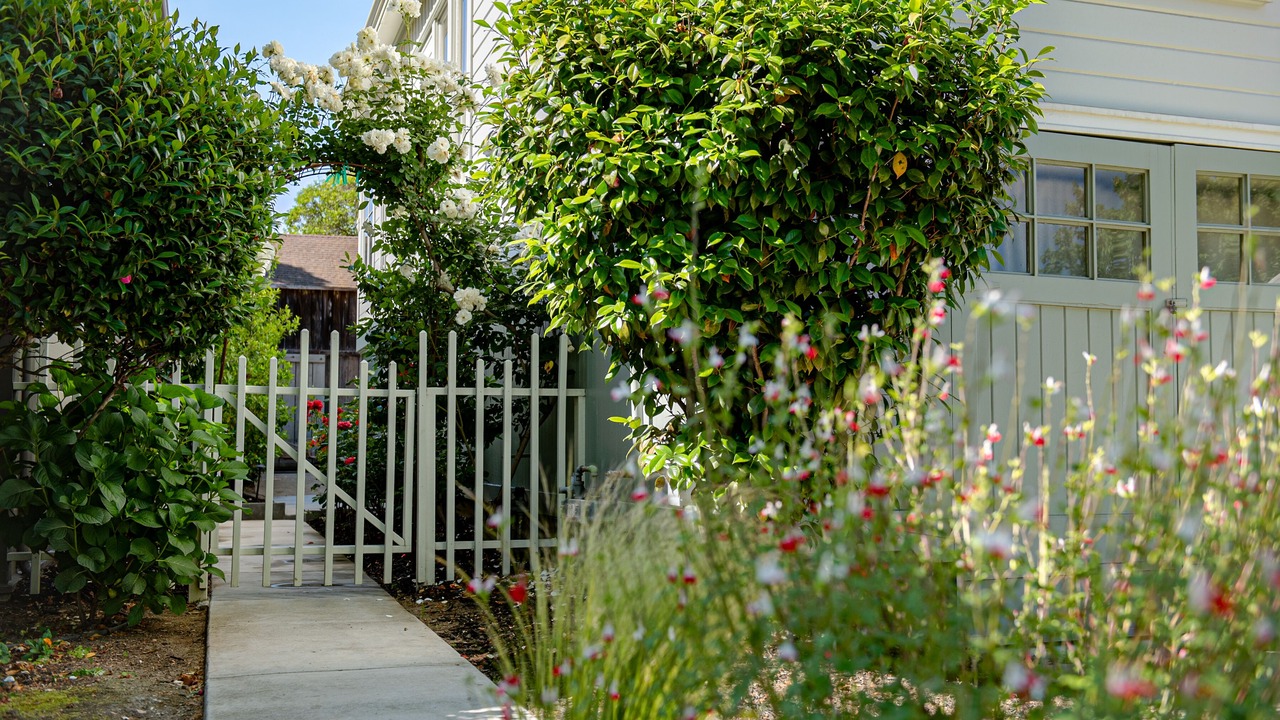 Photo of Outdoor in Napa