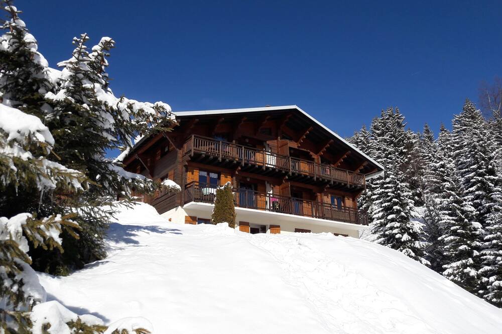 Photo of Outdoor in Les Saisies