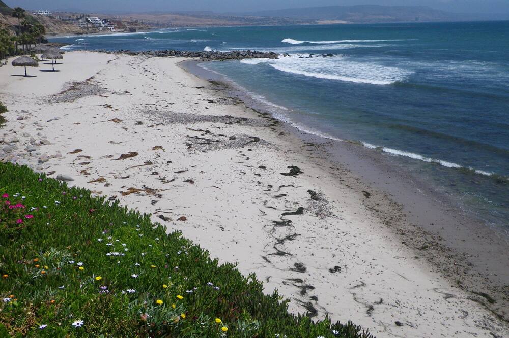 Photo of Others in Las Gaviotas