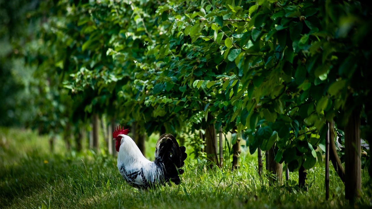 Photo of Outdoor in Polesine Zibello