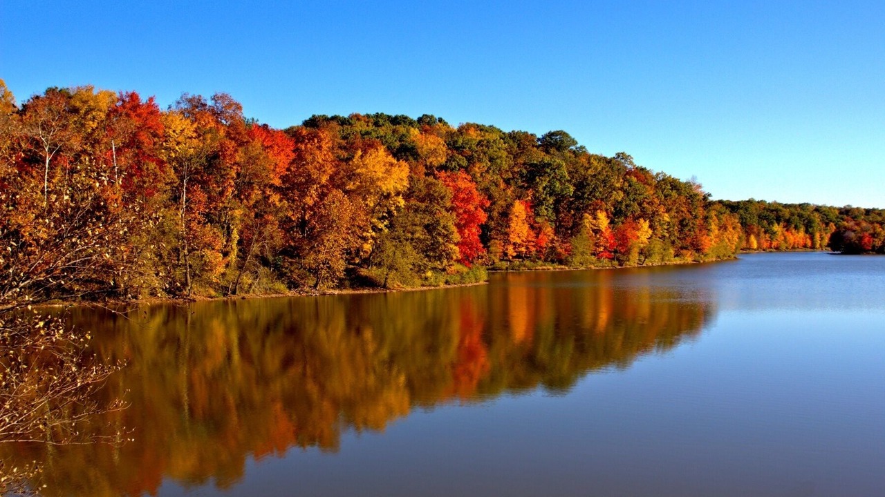 Photo of Outdoor in Derwood