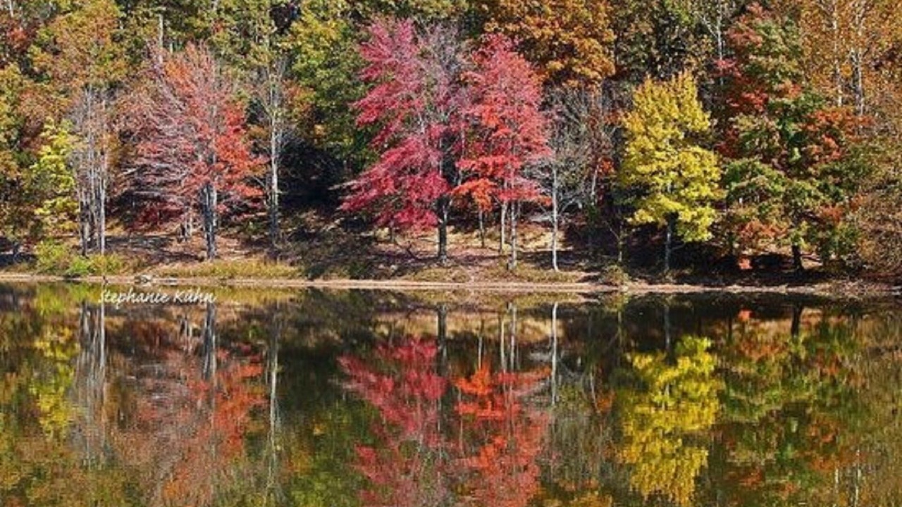 Photo of Outdoor in Derwood