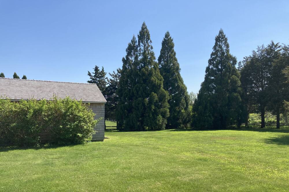 Photo of Others in Bridgehampton