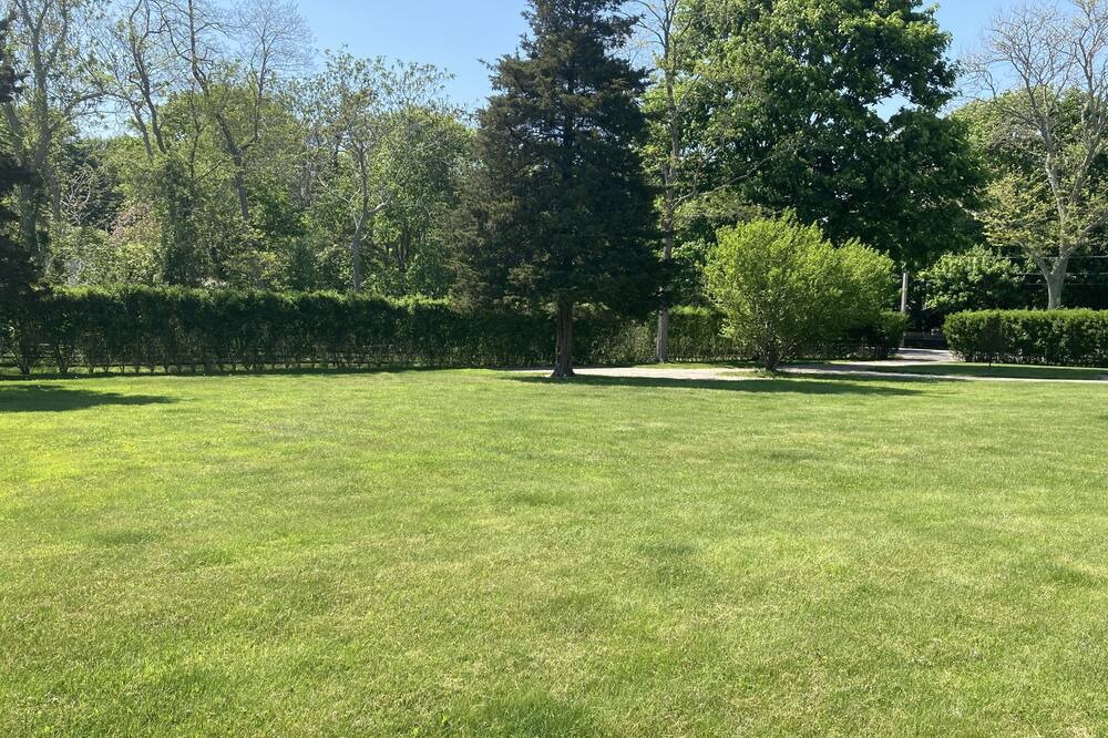Photo of Others in Bridgehampton