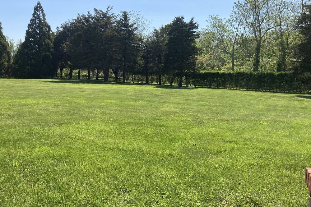 Photo of Others in Bridgehampton