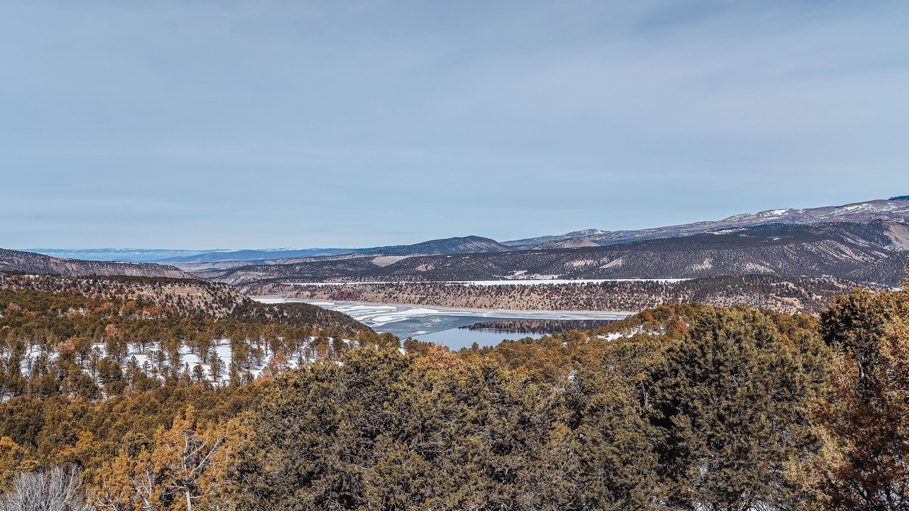 Photo of Others in Ridgway