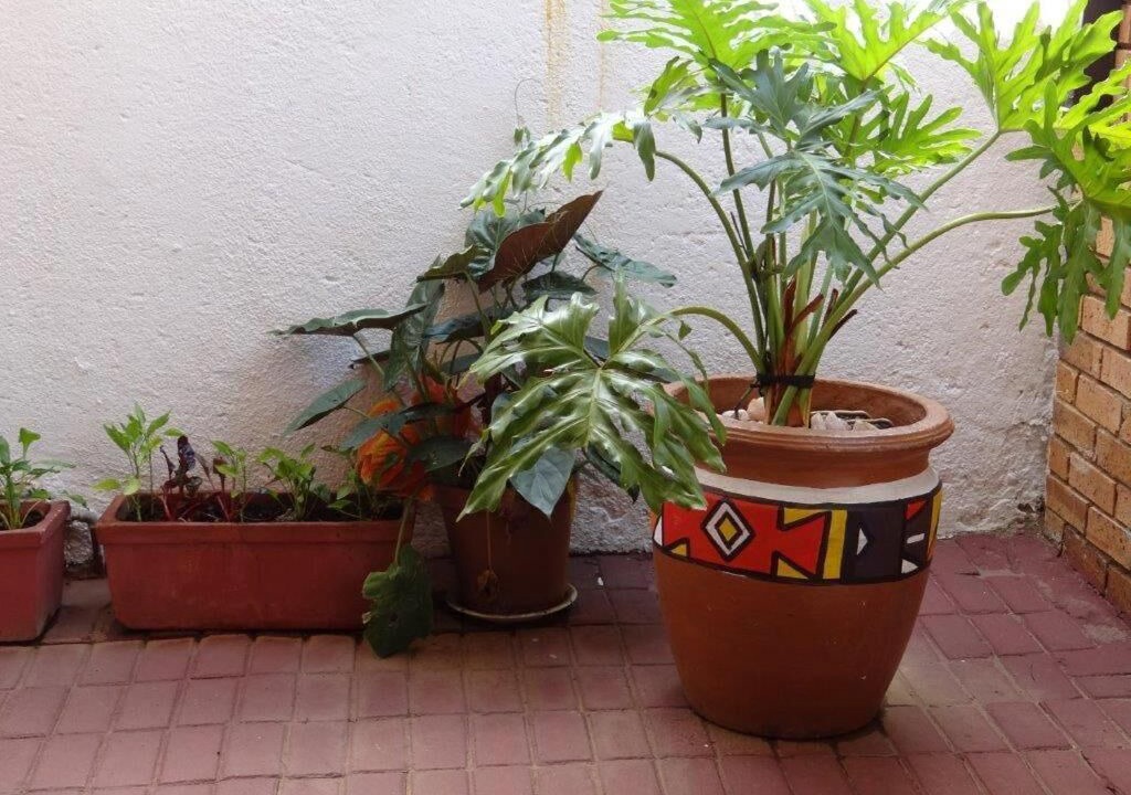 Photo of Outdoor in Greater Johannesburg Metropolitan Area