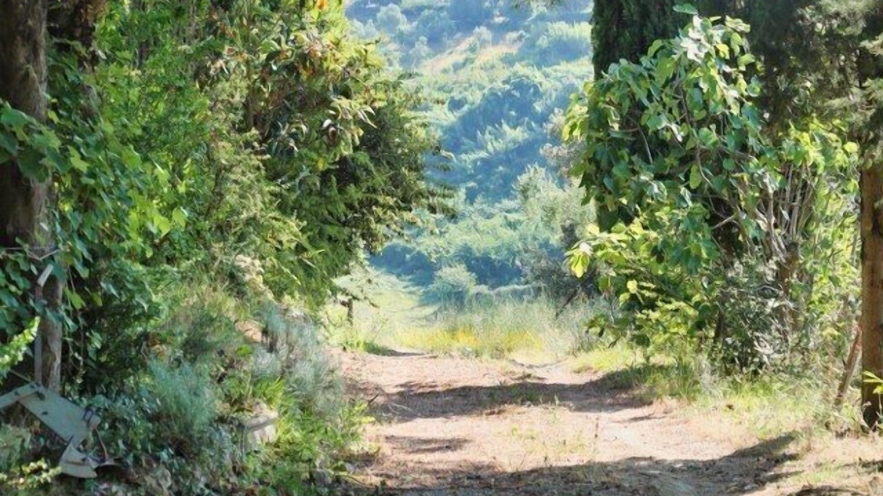 Photo of Outdoor in Lari