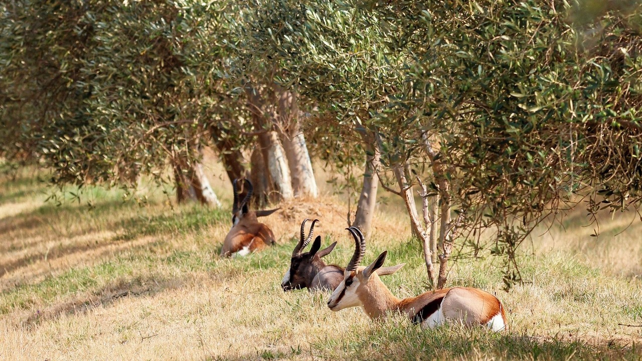 Photo of Outdoor in Paarl