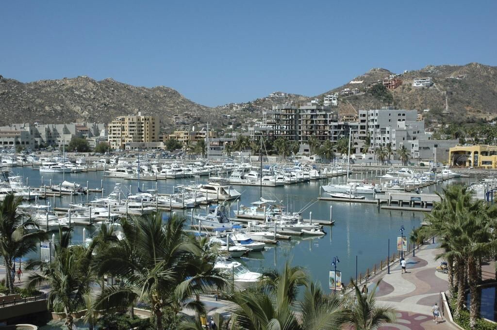 Photo of Others in El Medano Ejidal