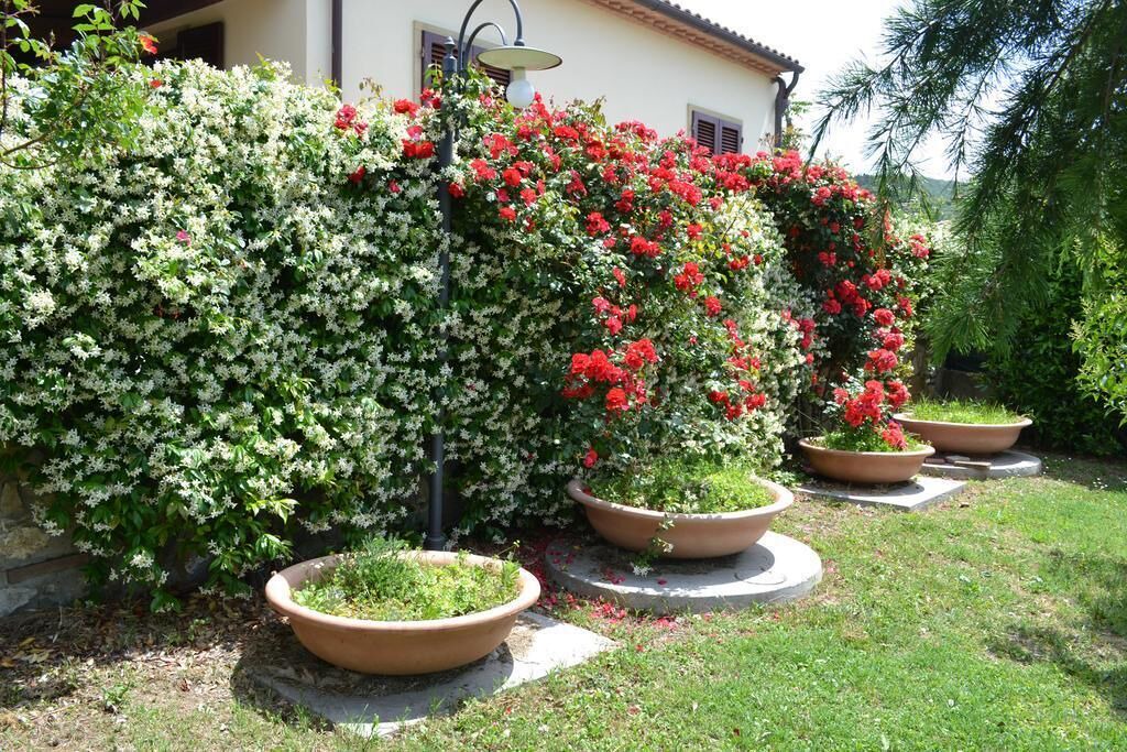 Photo of Outdoor in Santa Luce
