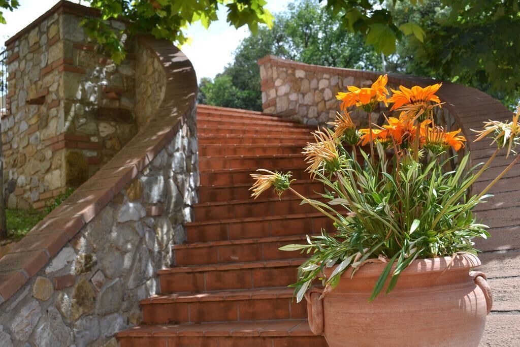 Photo of Outdoor in Santa Luce