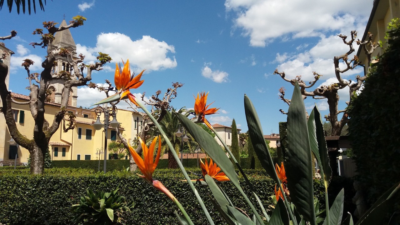 Photo of Outdoor in Casciana Terme