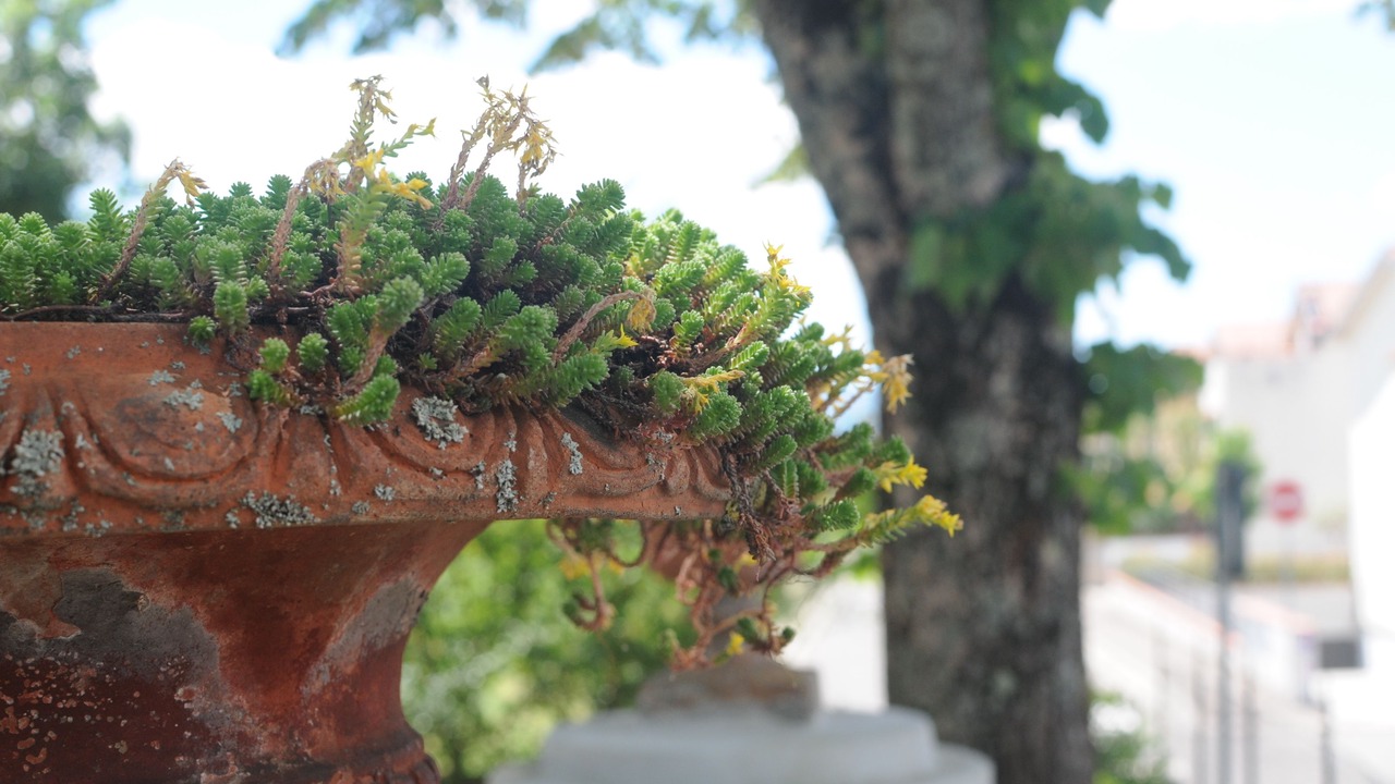 Photo of Outdoor in Scarperia