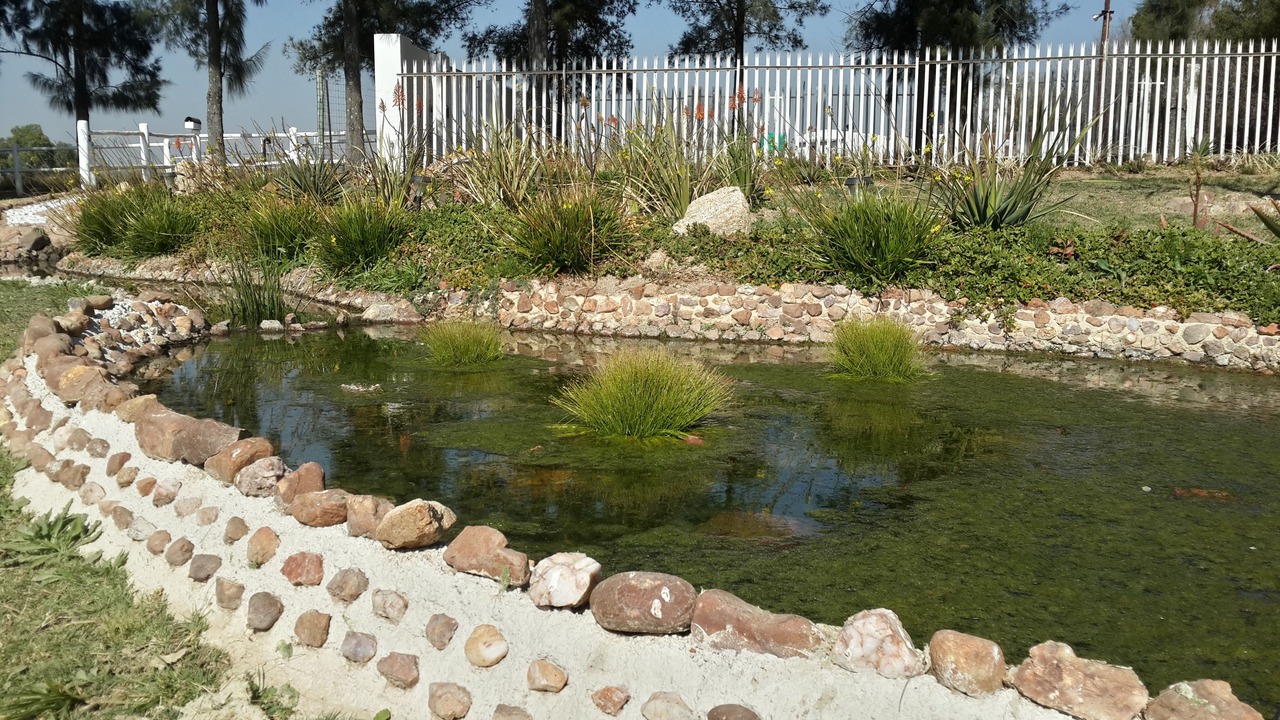Photo of Outdoor in Lanseria
