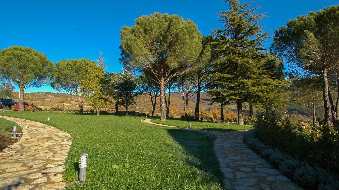 Photo of Outdoor in Gaiole in Chianti