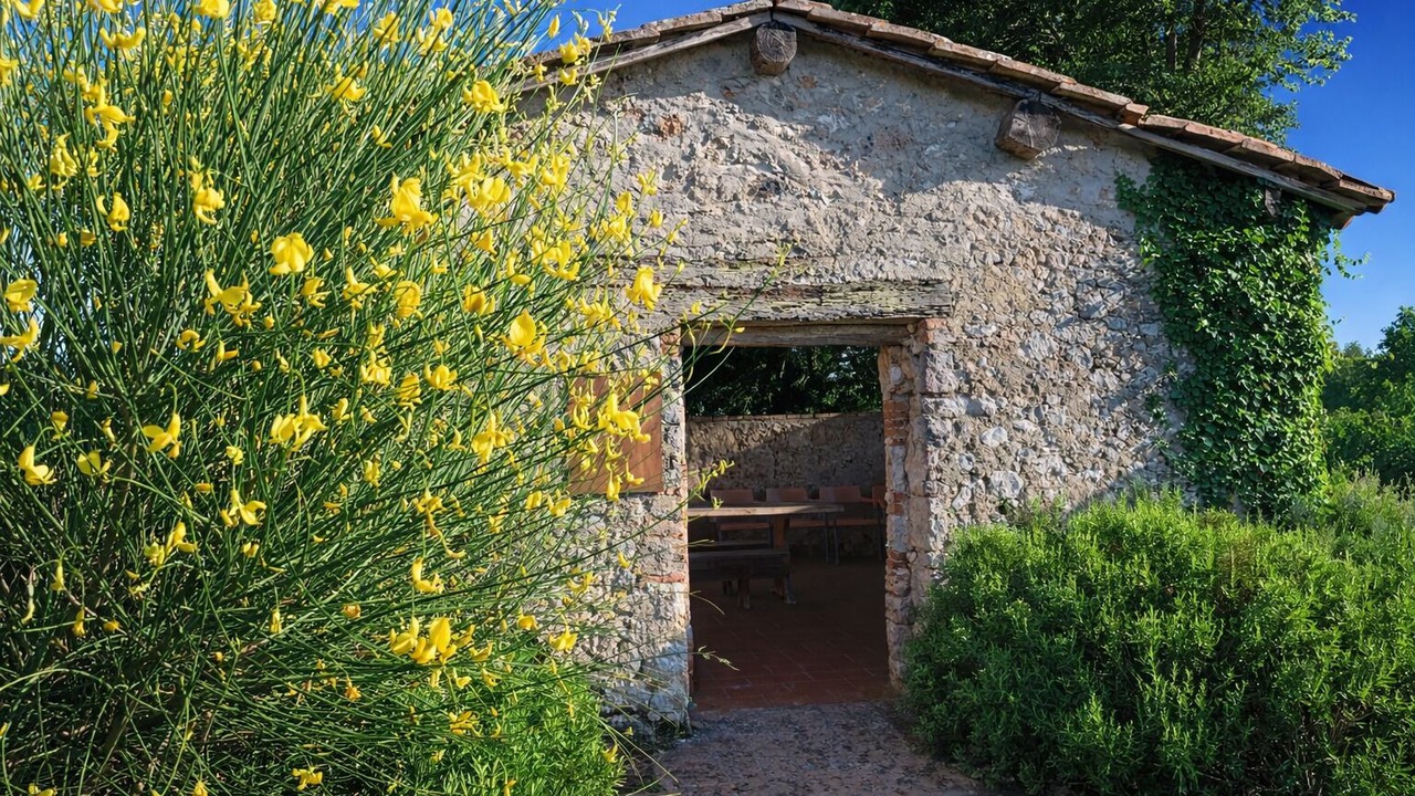 Photo of Outdoor in Colle di Val d'Elsa