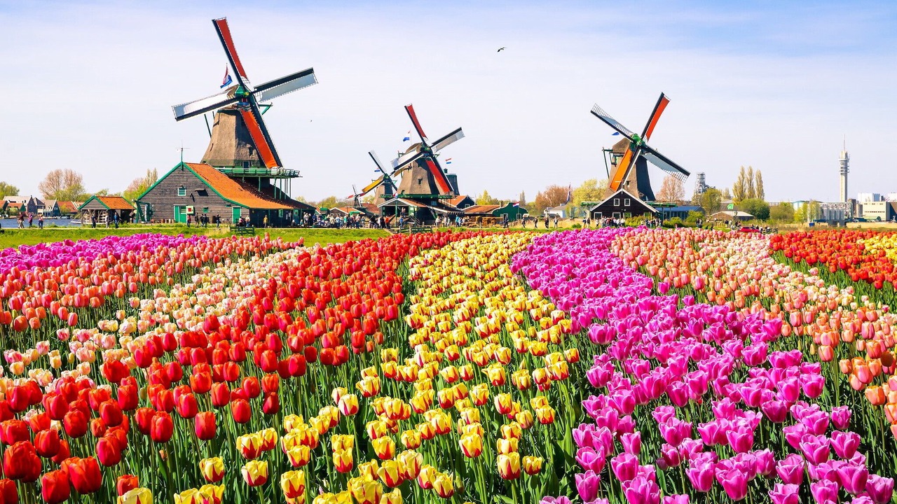 Photo of Outdoor in Opperdoes