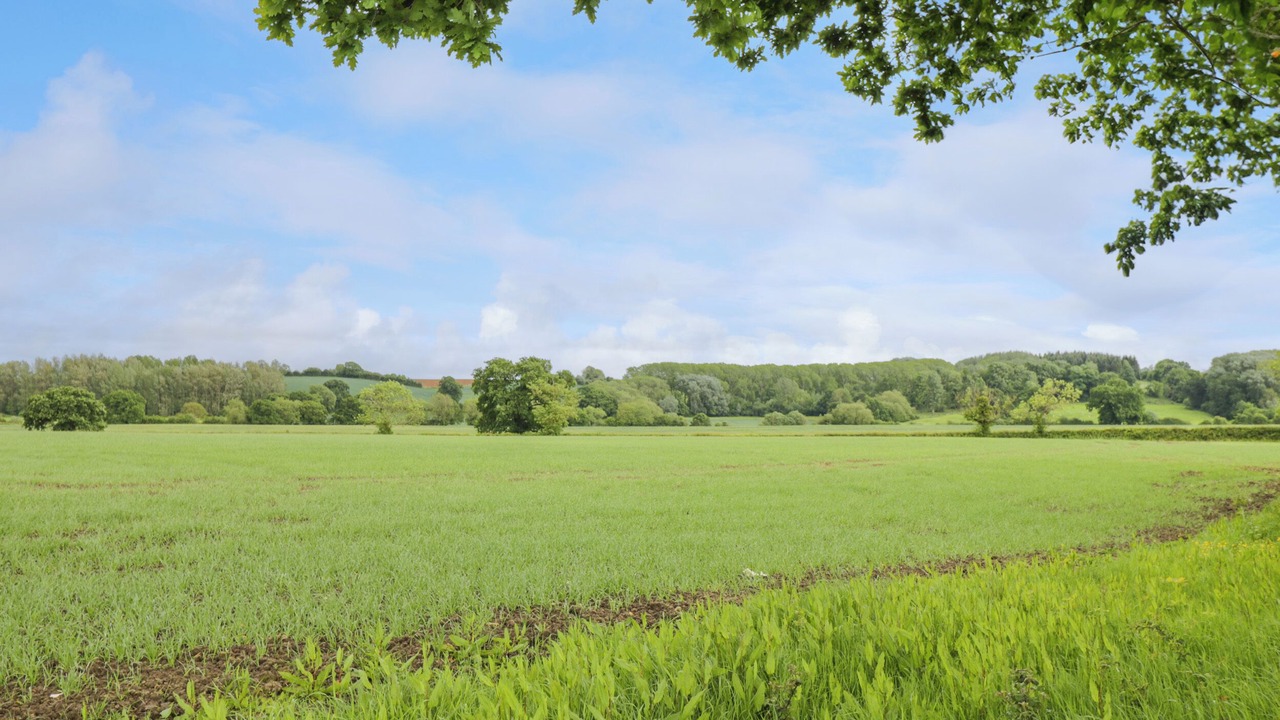 Photo of Others in Moreton-in-Marsh