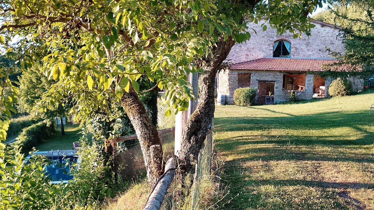 Photo of Outdoor in Londa
