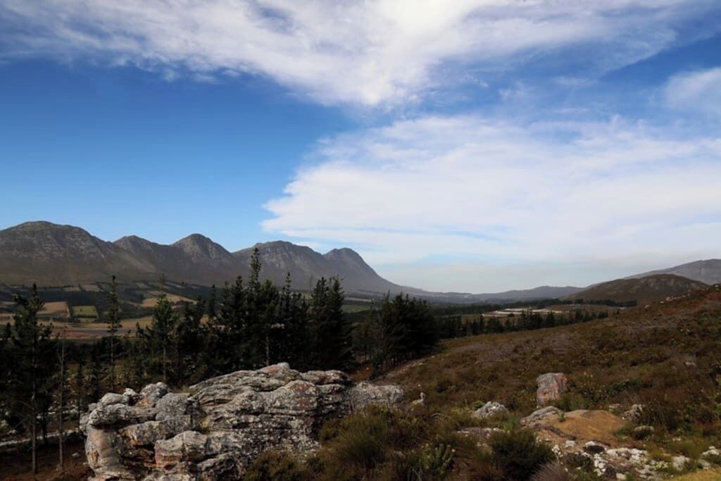 Photo of Others in Hermanus