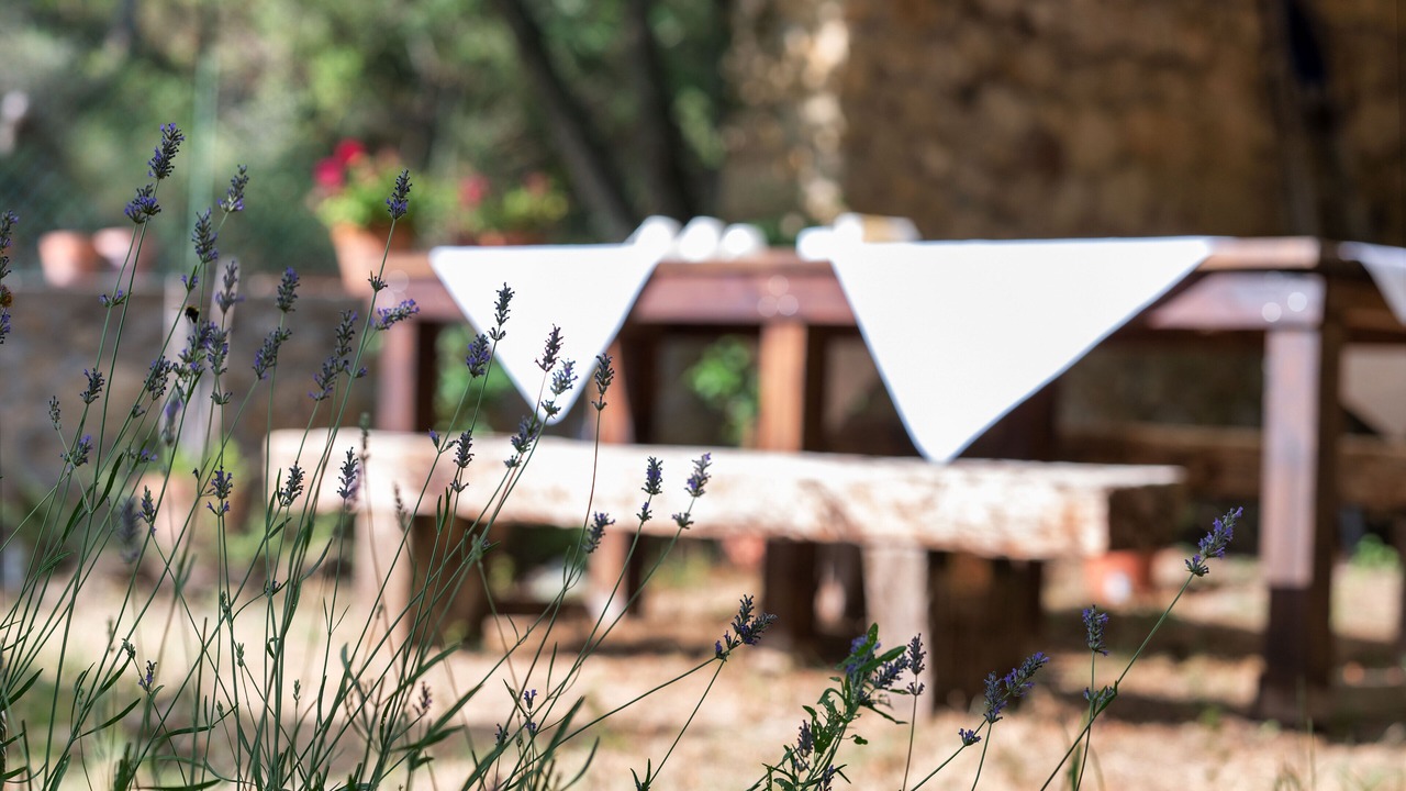 Photo of Outdoor in Secchiano