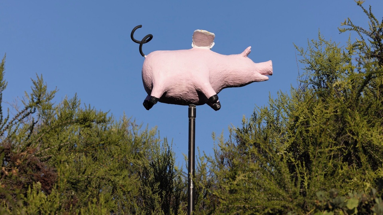 Photo of Outdoor in Topanga