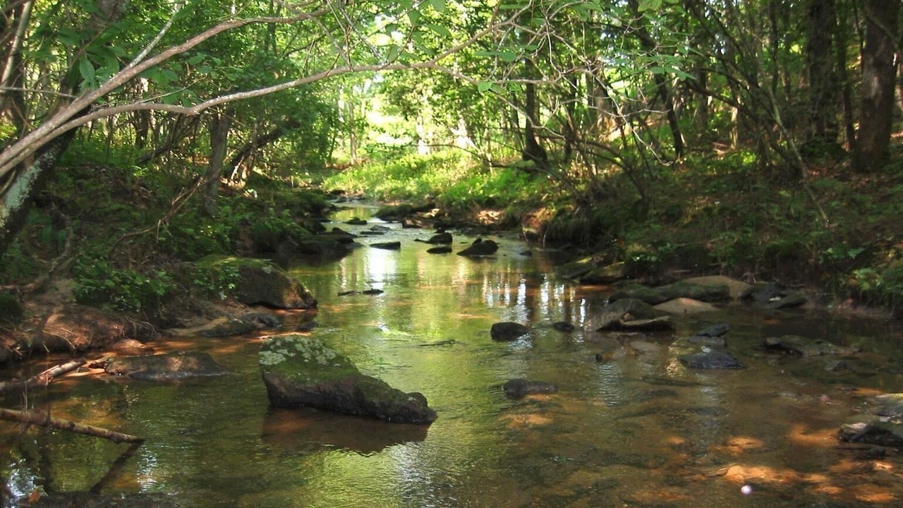 Photo of Outdoor in Union Grove