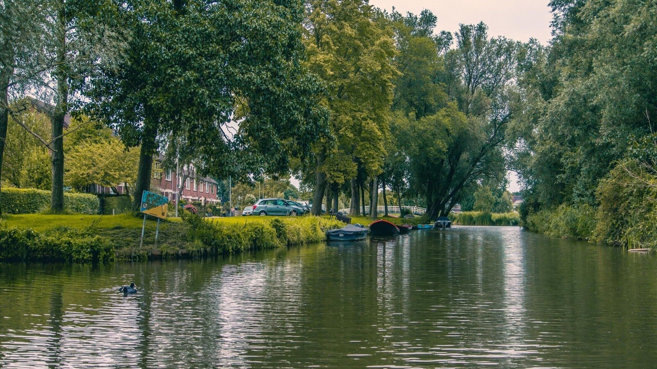 Photo of Others in Medemblik