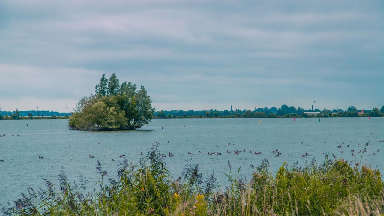 Photo of Others in Medemblik