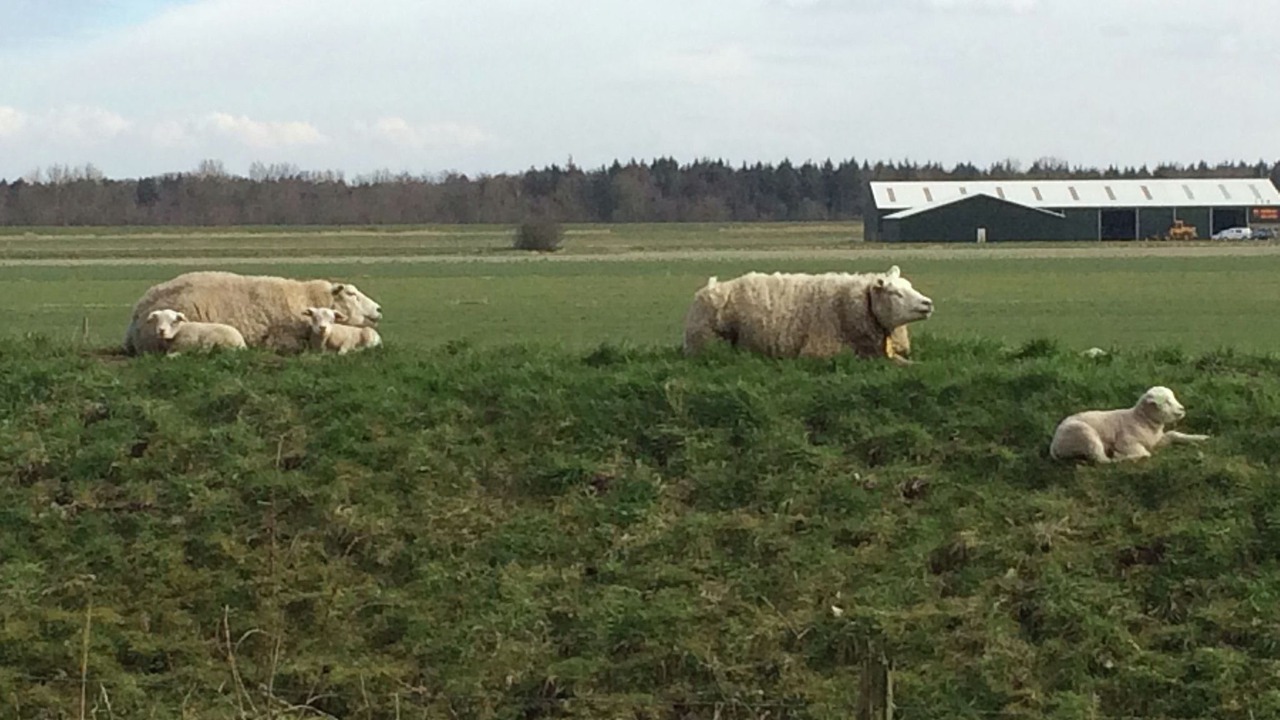 Photo of Others in Hensbroek