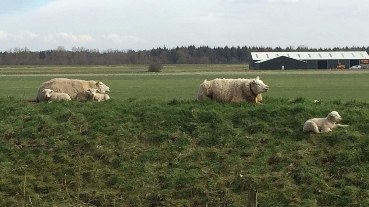 Photo of Others in Hensbroek