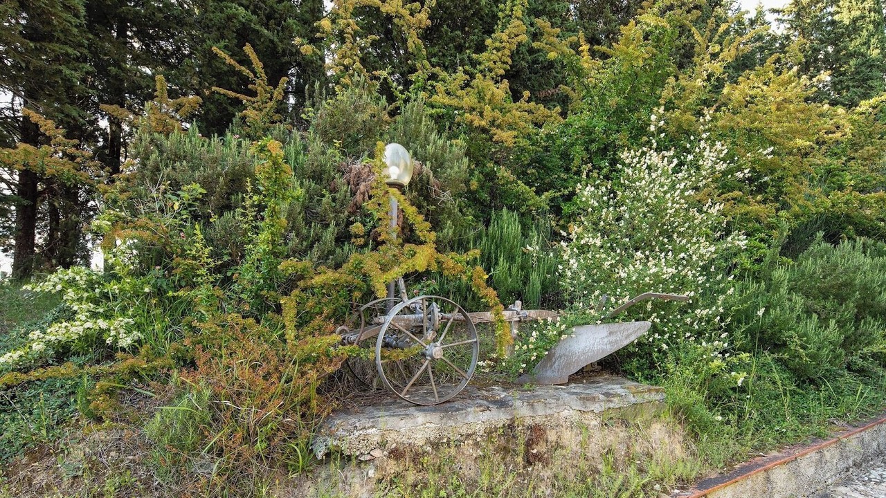 Photo of Outdoor in Borgo San Lorenzo