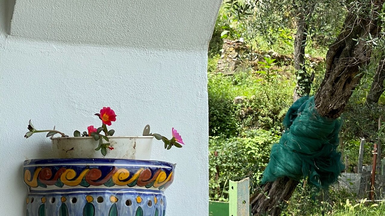 Photo of Outdoor in Masero