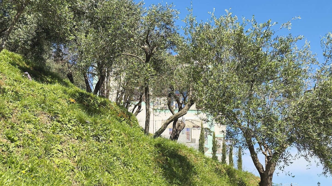 Photo of Outdoor in La Spezia