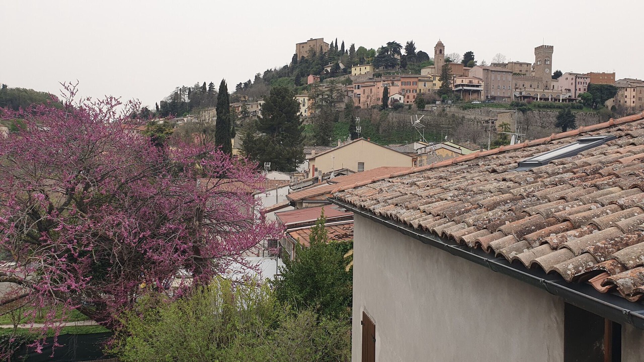 Photo of Others in Bertinoro