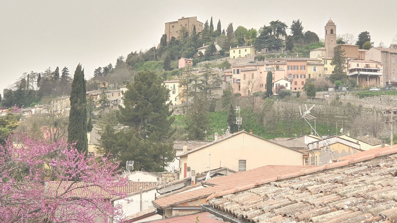 Photo of Outdoor in Bertinoro