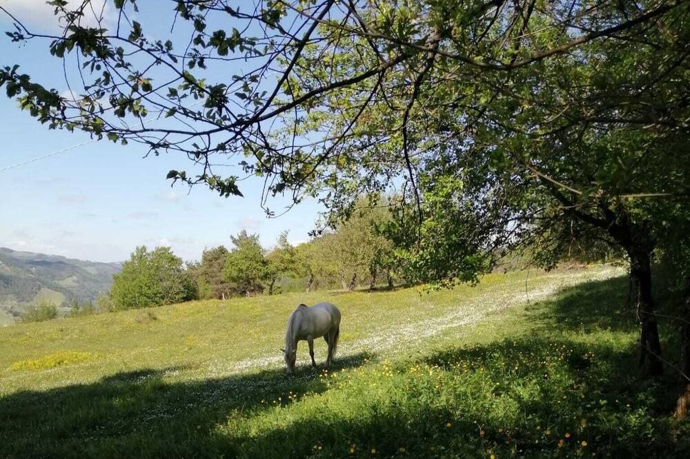 Photo of Others in Marradi