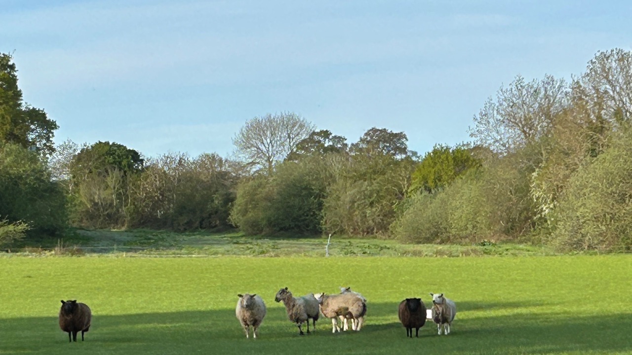 Photo of Others in Great Wolford