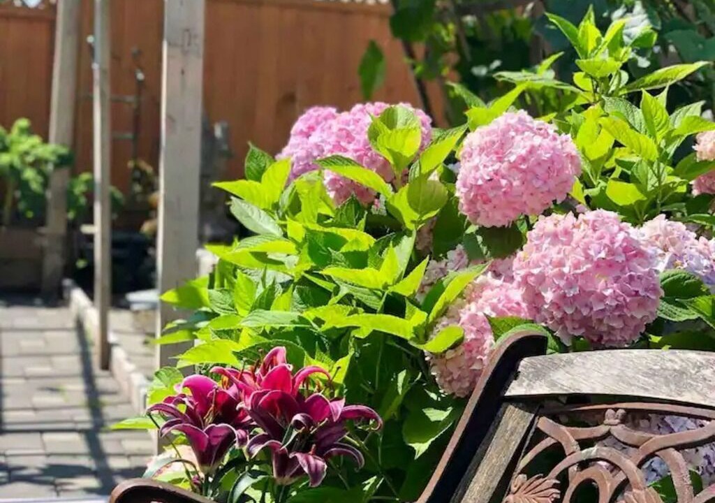 Photo of Outdoor in Fraserview