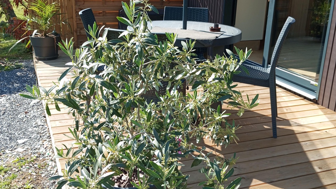 Photo of Outdoor in Marlens